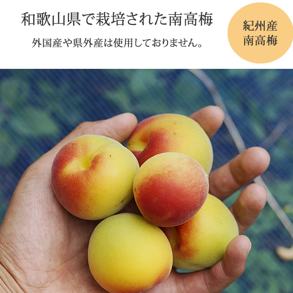 ���������ݤ������